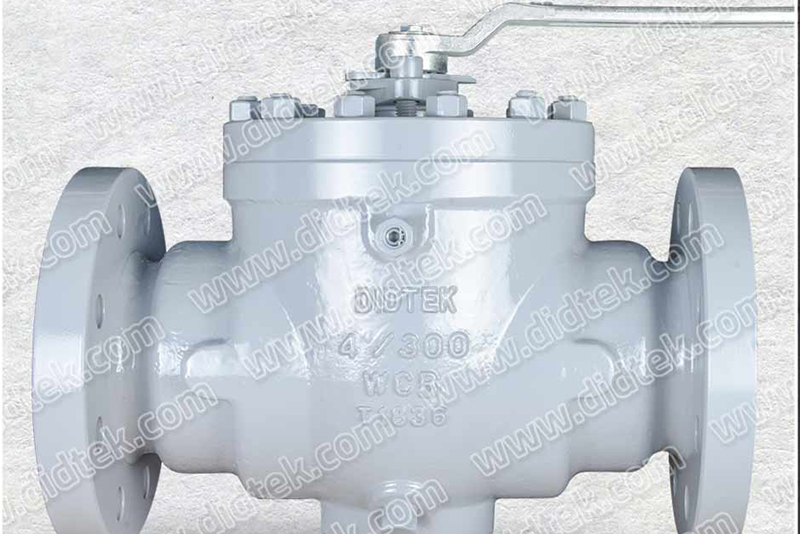 What is the Difference between Top Entry and Side Entry Ball Valve?